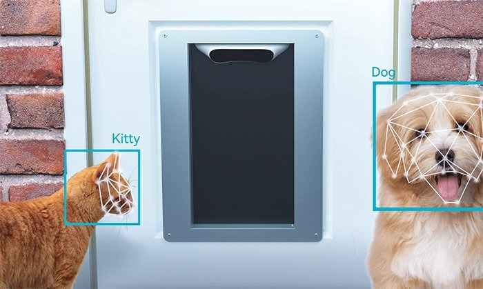 Smart Homes for Pets: Automated Feeders, Doors, and More.