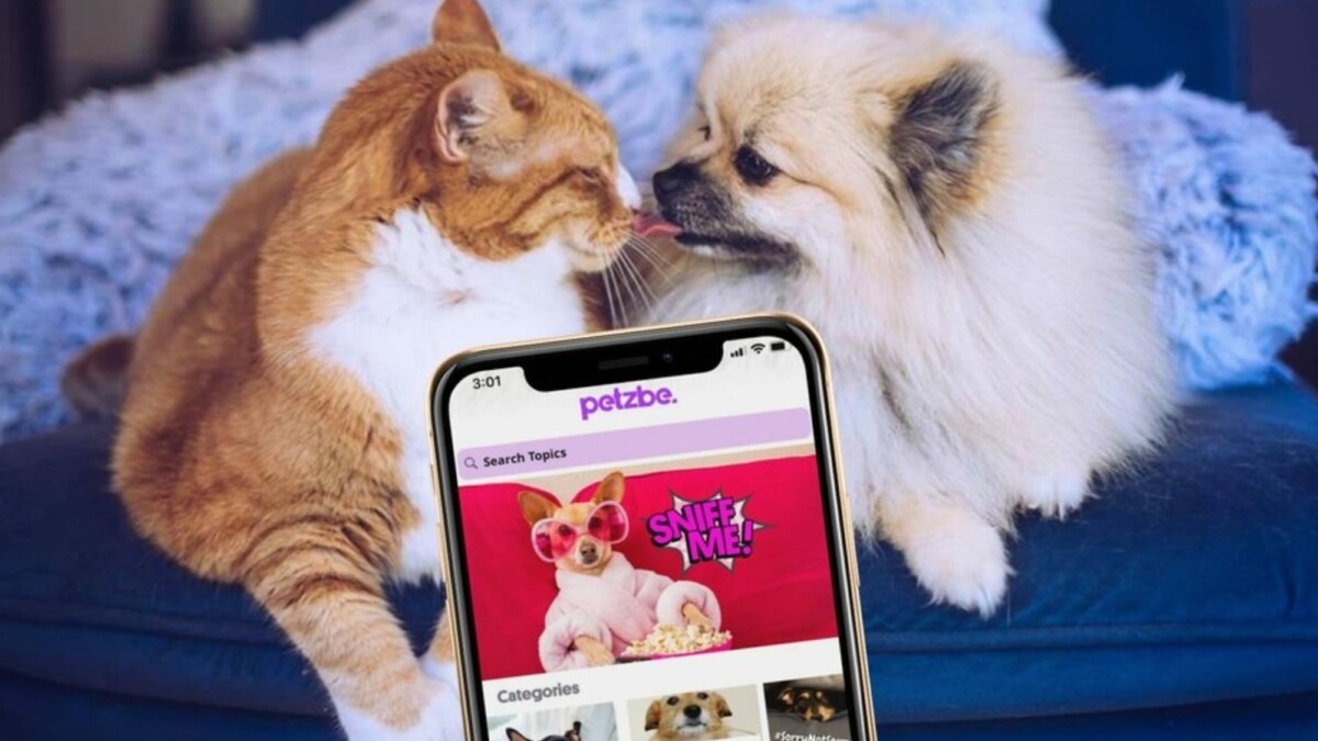 Social Media for Pets: Turning Your Pet into a Digital Star.