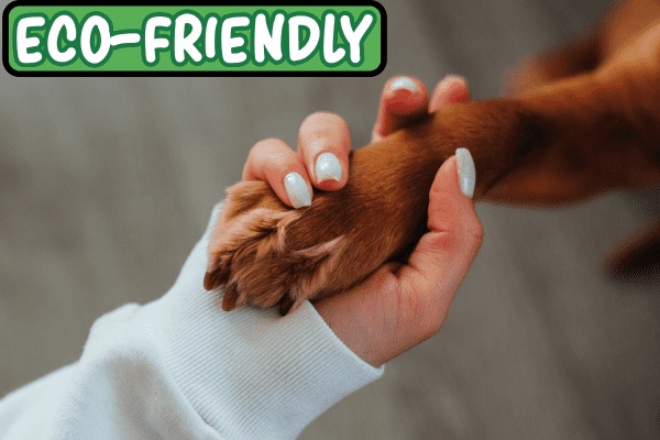 Eco-Friendly Pet Parenting: Reducing Your Paw Print.